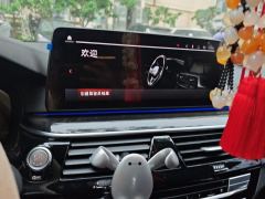 BMW 5 Series Facelift 525Li M Sport Package - ფოტო 17