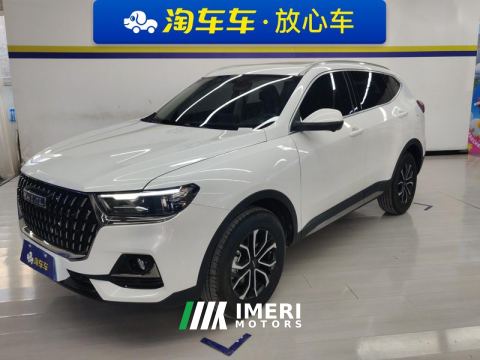 2023 Haval H6 Guochao Edition 1.5T 2WD Urban Edition - car from China