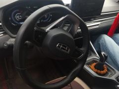 Geely Emgrand Champion 1.5L Manual Deluxe - ფოტო 16