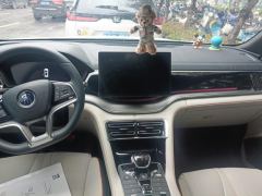 BYD Song PLUS DM-i 1.5L 2WD Flagship PLUS - ფოტო 17