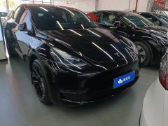 Tesla Model Y 688km Long Range AWD - ფოტო 3
