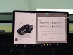 Tesla Model Y 545km Rear-Wheel Drive Edition - ფოტო 20