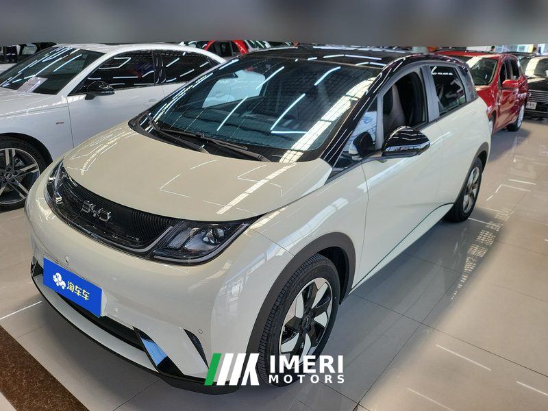 BYD Dolphin Honor Edition 420km Free Version - ავტომობილი ჩინეთიდან