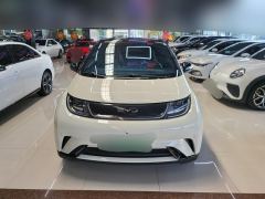 BYD Dolphin Honor Edition 420km Free Version - ფოტო 3
