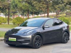 Tesla Model Y 554km Rear-Wheel Drive Edition - ფოტო 1
