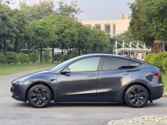 Tesla Model Y 554km Rear-Wheel Drive Edition - ფოტო 3