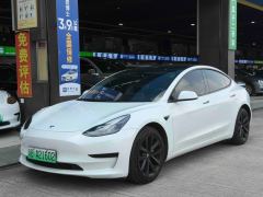 Tesla Model 3 Standard Range Edition - ფოტო 1