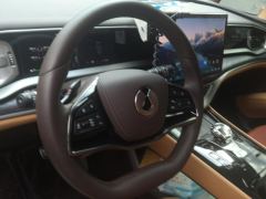 Denza D9 DM-i 1.5T 190km AWD Version - ფოტო 16
