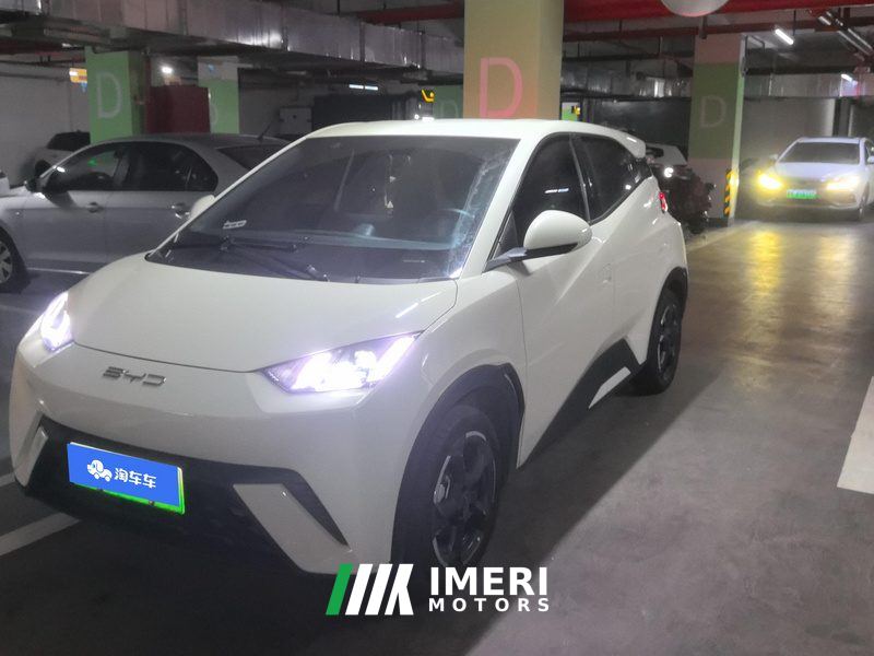 BYD Seagull 305km Free Version - ავტომობილი ჩინეთიდან