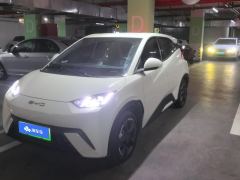 BYD Seagull 305km Free Version - ფოტო 1
