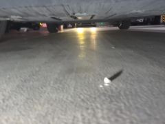 BYD Seagull 305km Free Version - ფოტო 8