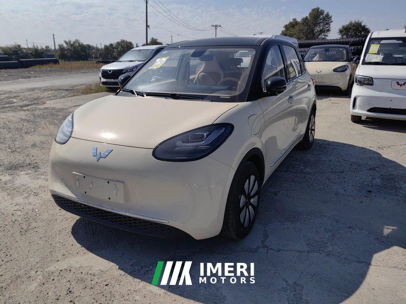 Wuling Bingo Binguo 333km Joy Edition - car from China