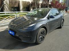 Tesla Model Y 554km Rear-Wheel Drive Edition - ფოტო 1
