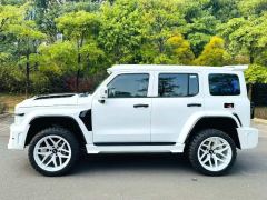 Tank 300 2.0T Conquistador Gasoline - ფოტო 7