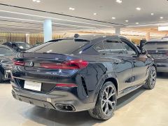 BMW X6 xDrive40i M Sport Package - фото 18