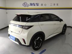 BYD Dolphin 405km Stylish Edition - photo 2