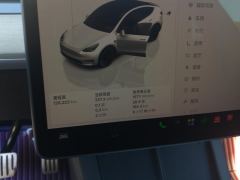 Tesla Model Y 615km Performance High-Performance AWD Version - фото 20