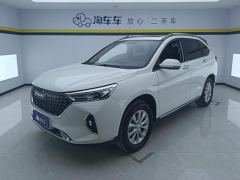 Haval M6 PLUS 1.5T Luxury Version - ფოტო 1
