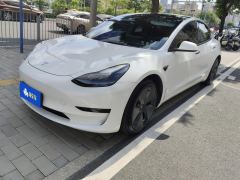 Tesla Model 3 556km Rear-Wheel Drive Edition - ფოტო 1