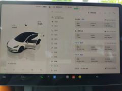 Tesla Model 3 556km Rear-Wheel Drive Edition - ფოტო 20