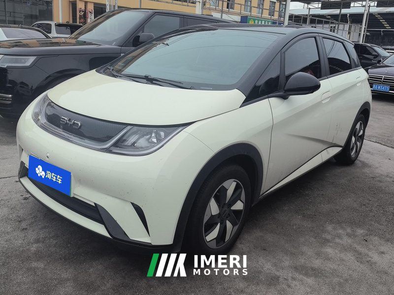BYD Dolphin Honor Edition 420km Free Version - ავტომობილი ჩინეთიდან