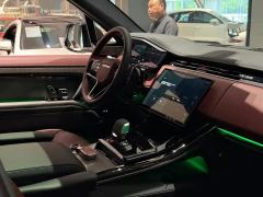 Land Rover Range Rover Sport 3.0T Dynamic SE - ფოტო 13