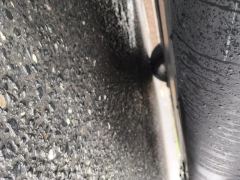 Tesla Model Y 545km Rear-Wheel Drive Edition - фото 10