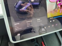 Tesla Model Y 545km Rear-Wheel Drive Edition - фото 20