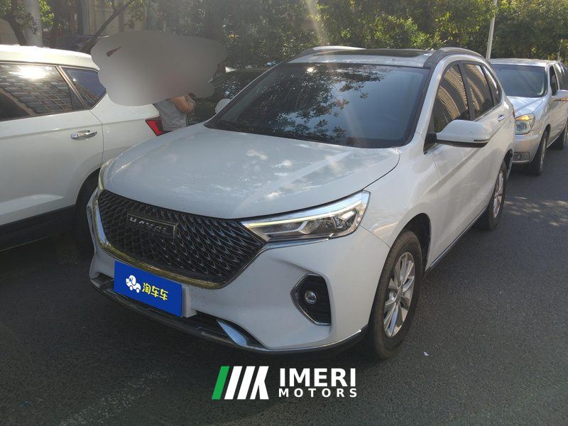 Haval M6 PLUS 1.5T Luxury Version - car from China