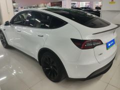 Tesla Model Y 554km Rear-Wheel Drive Edition - ფოტო 2
