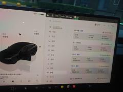 Tesla Model 3 606km Rear-Wheel Drive Edition - ფოტო 20