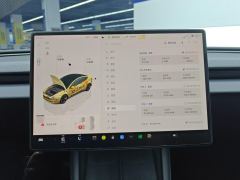 Tesla Model 3 606km Rear-Wheel Drive Edition - ფოტო 20
