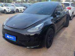 Tesla Model Y 554km Rear-Wheel Drive Edition - ფოტო 1