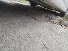 Honda Fit 1.5L Pro Edition - фото 10