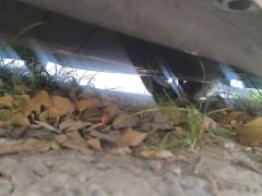 Honda Fit 1.5L Pro Edition - фото 8
