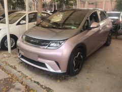 BYD Dolphin 405km Stylish Edition - photo 1