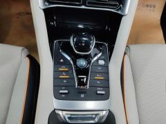 BYD Song PLUS DM-i 1.5L 2WD Flagship PLUS - ფოტო 19