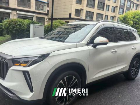 2022 GAC GS4 PLUS 390T Edition - ავტომობილი ჩინეთიდან