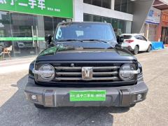 Tank 300 City Edition 2.0T Stylish - photo 2