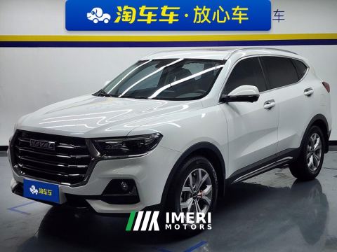 2021 Haval H6 Guochao Edition 1.5T 2WD Champion Edition - ავტომობილი ჩინეთიდან