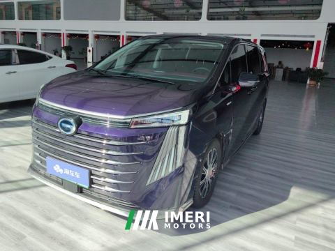 2023 GAC Trumpchi E9 2.0T 136km MAX