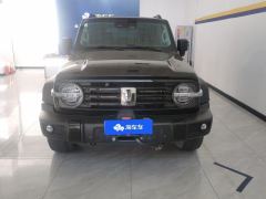 Tank 300 Off-Road Edition 2.0T Conqueror - photo 3