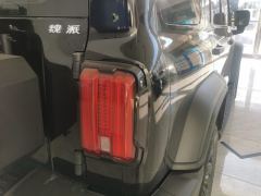 Tank 300 Off-Road Edition 2.0T Conqueror - photo 5