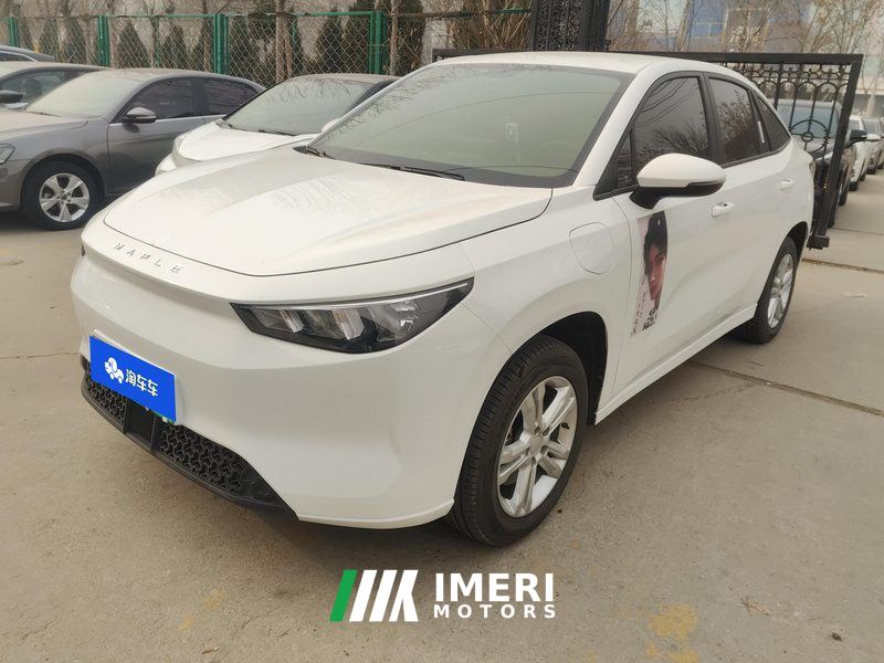 Cao Cao Cao 60 450km Pro - ავტომობილი ჩინეთიდან