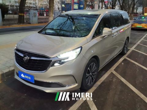 2022 Buick GL8 ES Luxury Edition 653T Flagship 7-seater - ავტომობილი ჩინეთიდან