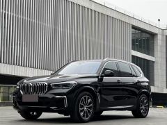 BMW X5 xDrive30Li Deluxe VersionM - ფოტო 1