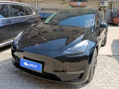 Tesla Model Y 615km Performance High-Performance AWD Version - фото 1