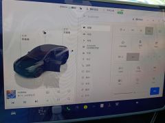 Tesla Model Y 615km Performance High-Performance AWD Version - фото 20