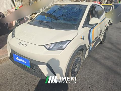 2025 BYD Seagull Smart Driving Edition 305km Vitality Edition - ავტომობილი ჩინეთიდან
