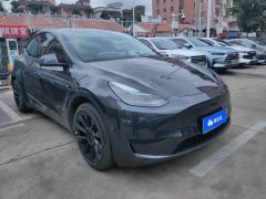 Tesla Model Y 554km Rear-Wheel Drive Edition - ფოტო 1